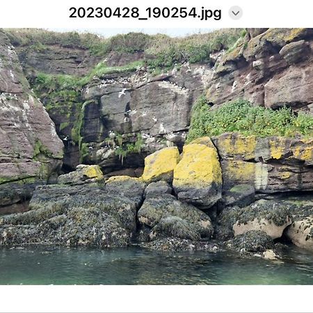 Sandy Cove Dunmore East Exterior foto