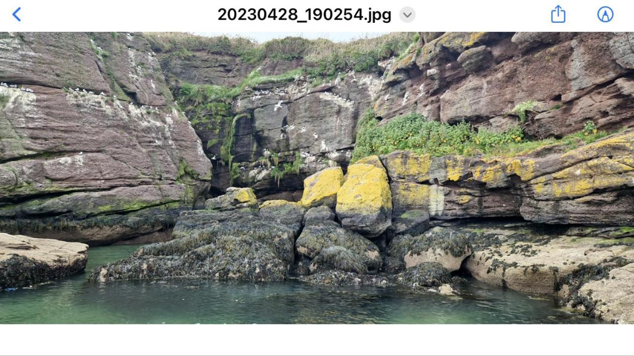 Sandy Cove Dunmore East Exterior foto