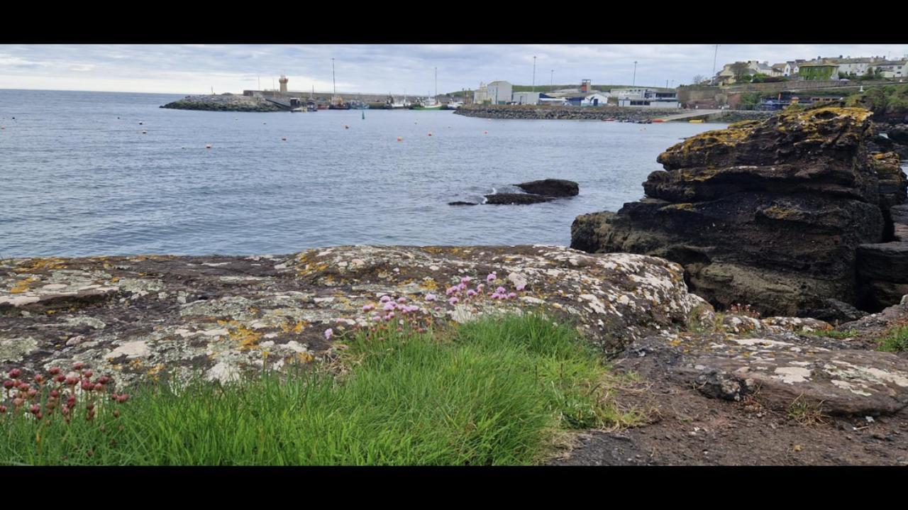 Sandy Cove Dunmore East Exterior foto
